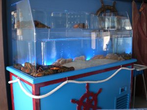 libertad Celebridad El actual Acuarios y viveros de marisco para restauración - Acuarios Oceánicos Prieto